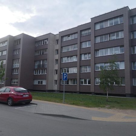Kristinos Apartment Druskininkai Esterno foto