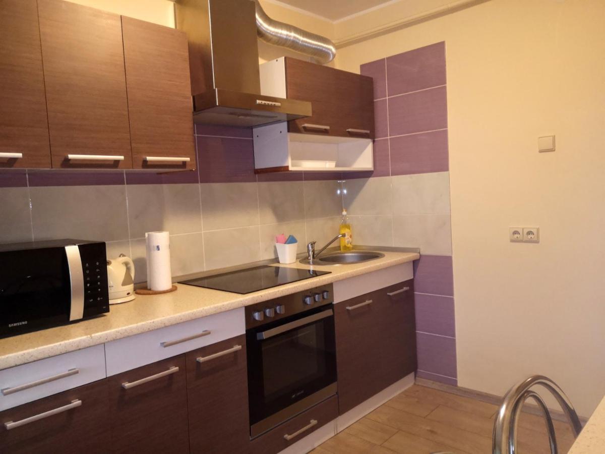 Kristinos Apartment Druskininkai Esterno foto