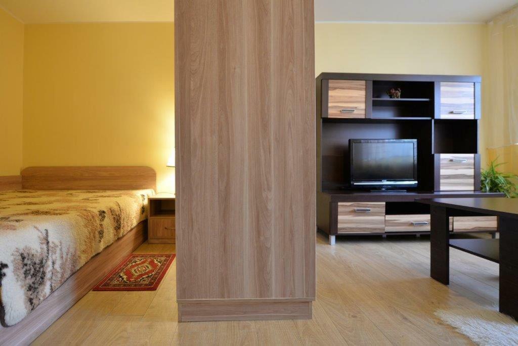 Kristinos Apartment Druskininkai Esterno foto